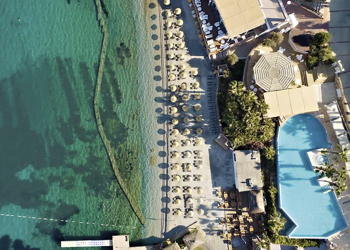 Tui Magic Life Bodrum - Adults Only